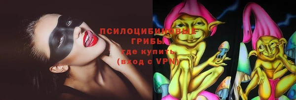 сатива Арсеньев